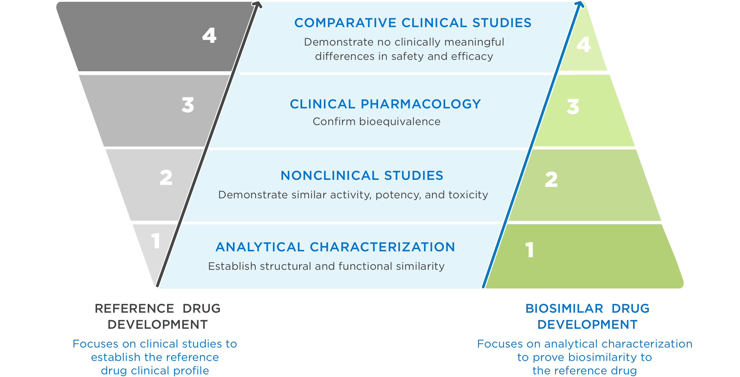 Reference and biosimilar drugs follow distinct yet rigorous standards for FDA approval