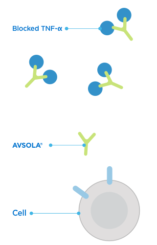 How can AVSOLA® (infliximab-axxq) help treat inflammation?