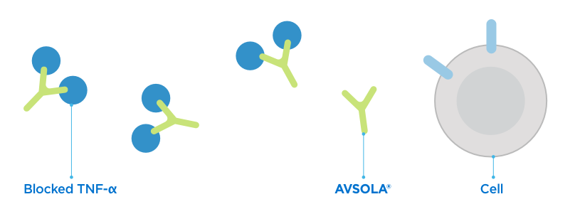 How can AVSOLA® (infliximab-axxq) help treat inflammation?